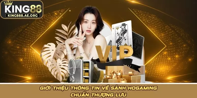 Giới thiệu thông tin về sảnh HoGaming chuẩn thượng lưu Giới thiệu thông tin về sảnh HoGaming chuẩn thượng lưu