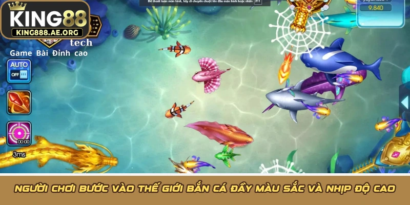 Người chơi bước vào thế giới bắn cá đầy màu sắc và nhịp độ cao