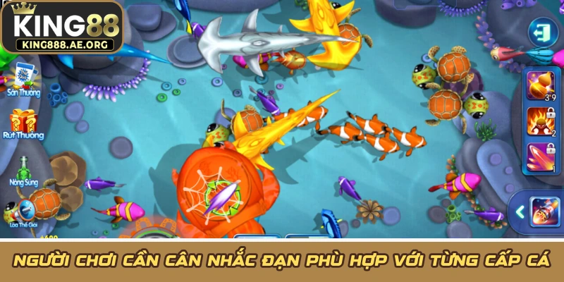 Người chơi cần cân nhắc đạn phù hợp với từng cấp cá