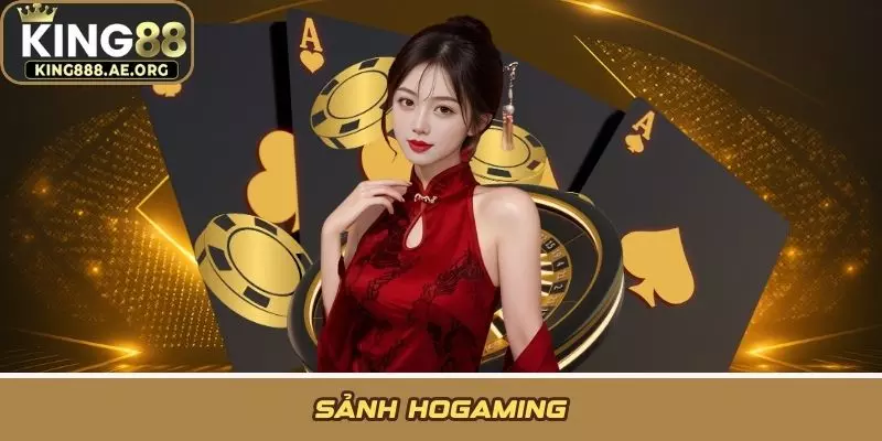 Sảnh HoGaming - Không Gian Giải Trí Live Casino Thời Thượng