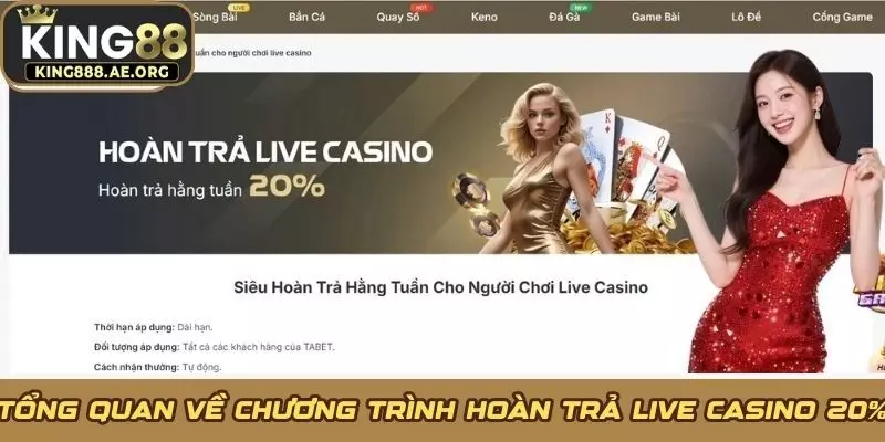 Tổng quan về chương trình hoàn trả Live Casino 20%