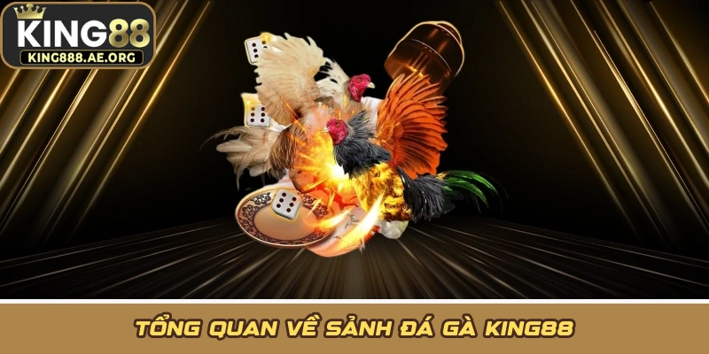 Tổng quan về sảnh đá gà KING88