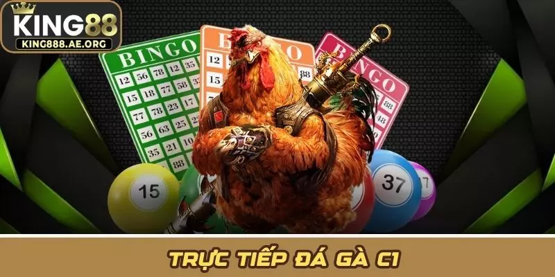 Trực Tiếp Đá Gà C1: Tâm Điểm Đại Chiến Kê Thủ Hàng Đầu